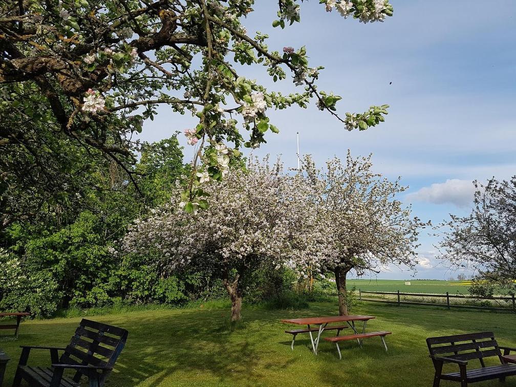 Villa Freja Linköping Exteriör bild